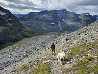 opps_20241219_676488d427fdc.jpg