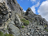 opps_20241219_676488d774978.jpg