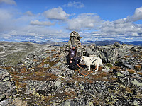 opps_20241219_676488dfeefb0.jpg