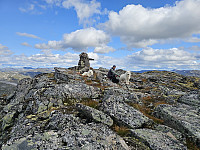 opps_20241219_676488ed299df.jpg