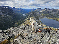 opps_20241219_676488f0693d4.jpg
