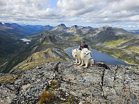 opps_20241219_676488f24b003.jpg