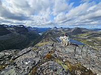 opps_20241219_676488f418a64.jpg