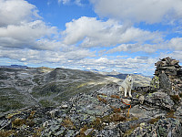 opps_20241219_676488f5aa080.jpg
