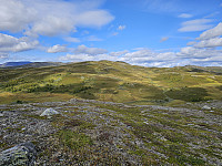 opps_20241219_676489b245af6.jpg
