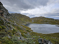 opps_20241219_67648adbef913.jpg