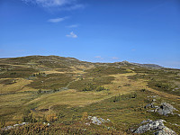 opps_20241219_67648c31460ee.jpg