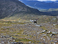 opps_20241219_67648ca042237.jpg