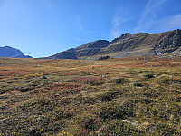 opps_20241226_676d7c556a2ad.jpg