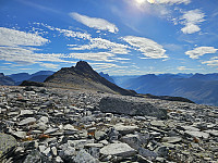 opps_20241226_676d7c5953c04.jpg