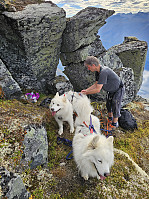 opps_20241226_676d7c60ba436.jpg