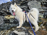 opps_20241226_676d7c62d29a1.jpg