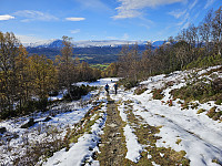 opps_20241226_676d7dee99f85.jpg