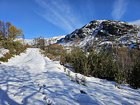 opps_20241226_676d7df07a953.jpg