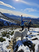 opps_20241226_676d7df2235b2.jpg