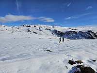 opps_20241226_676d7df3bc4d7.jpg