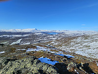 opps_20241226_676d7dfc10786.jpg