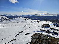 opps_20241226_676d7e009c03c.jpg