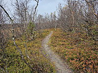 opps_20241226_676d801a16d06.jpg