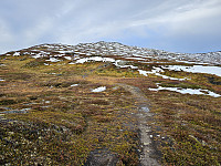 opps_20241226_676d801c330c3.jpg
