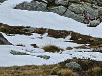 opps_20241226_676d8020b342e.jpg