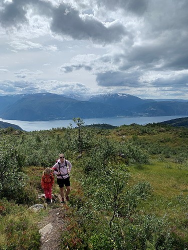 Endeleg over skoggrensa