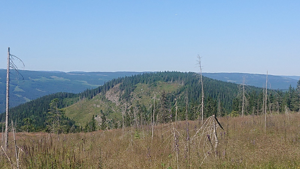 Balbergkampen sett fra Menkelia (Bak/overfor Rundhaugen.
