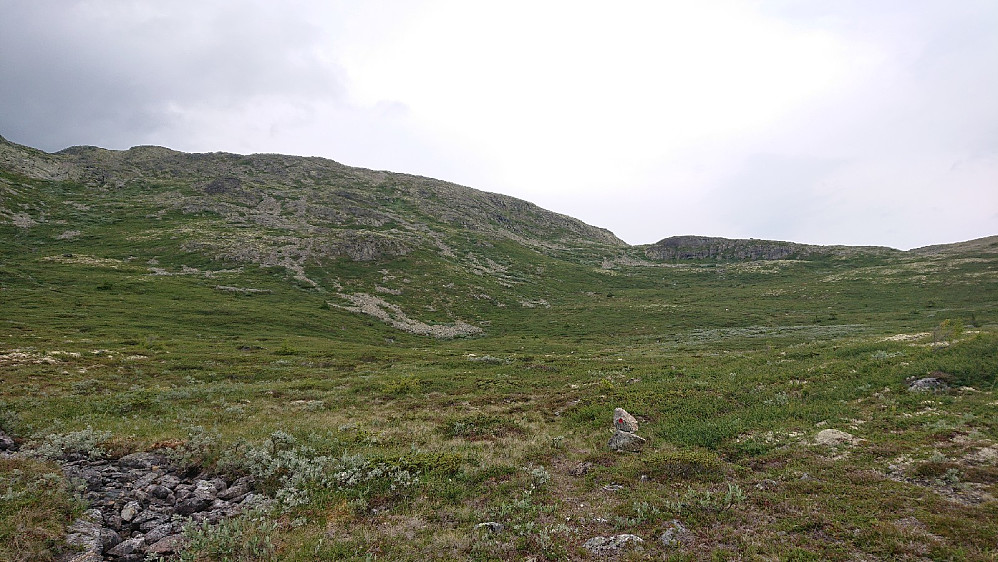 Deilig terreng å løpe i. På vei mellom Jørstadgruva og Svingen.