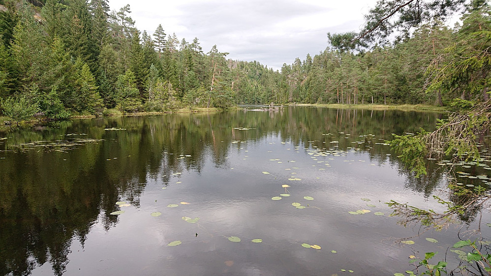 Ved idylliske Ålbogatjenn.