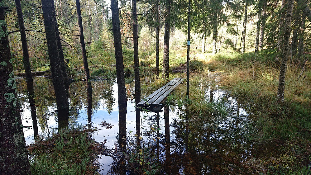 Klopper uten funksjon. Fra myrene på nedsiden av Blåfjell.