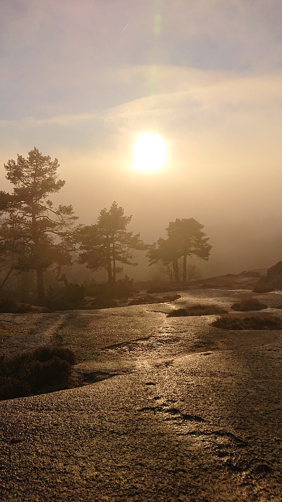 Fra sveene ned fra Vestre Skrehelle mot Olaugtjenn. Tåka i ferd med å trekke oppover.
