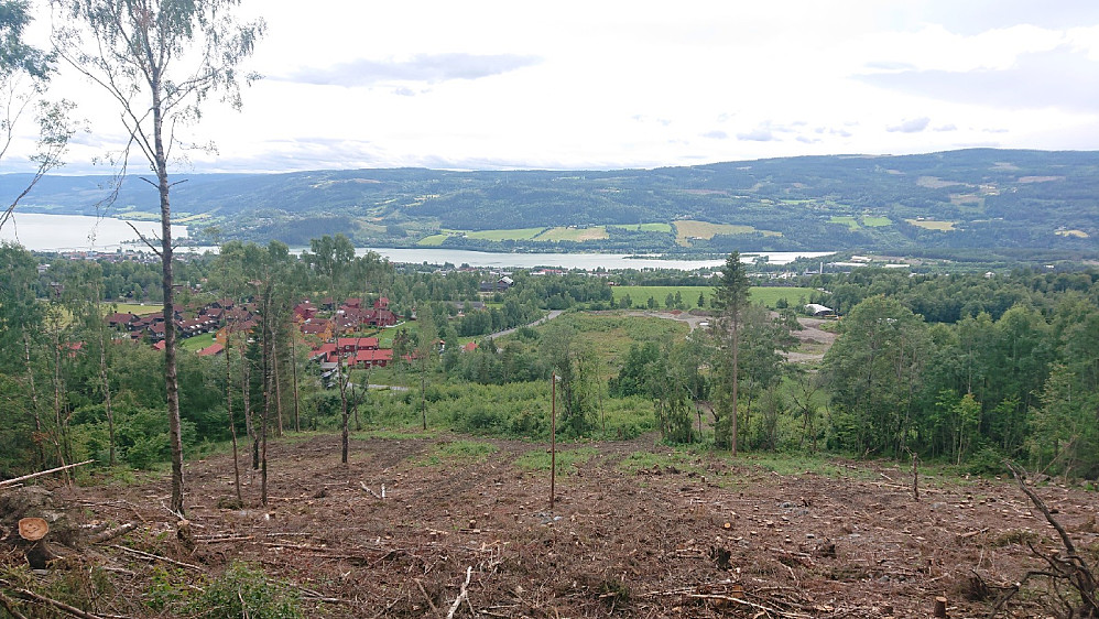 Fra hogstfeltet over Fagstadlia.