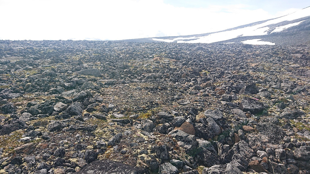 Polygonmark.
