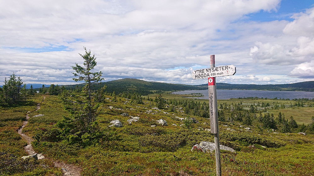 Ytre Nysæterhøgda.