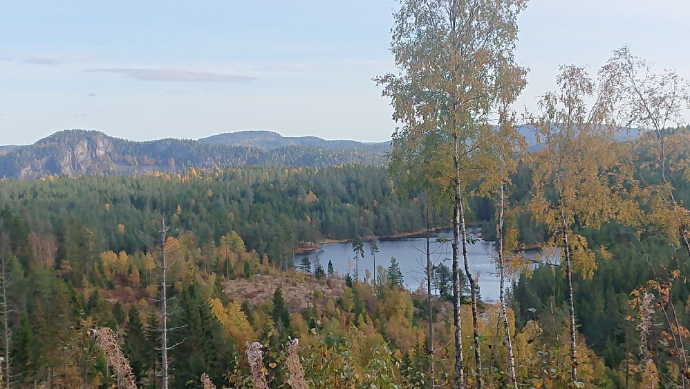 Utsikt over Galtetjønn, Ramsås til venstre.