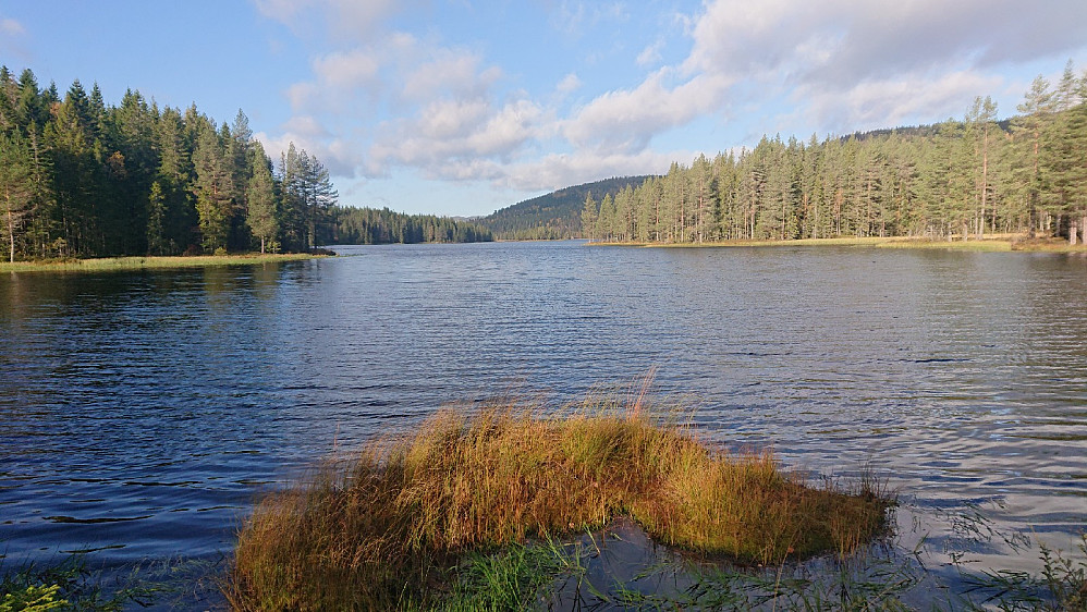 Lilleøkter.