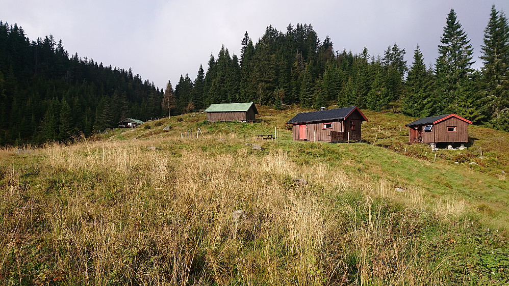 Hortaseter.