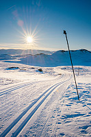 LarsStorheim_20220312_622cecd41bf16.jpg