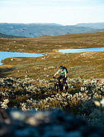 LarsStorheim_20220904_631505a42660d.jpg