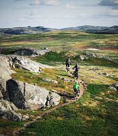 LarsStorheim_20230625_6498886b0e2f3.jpg