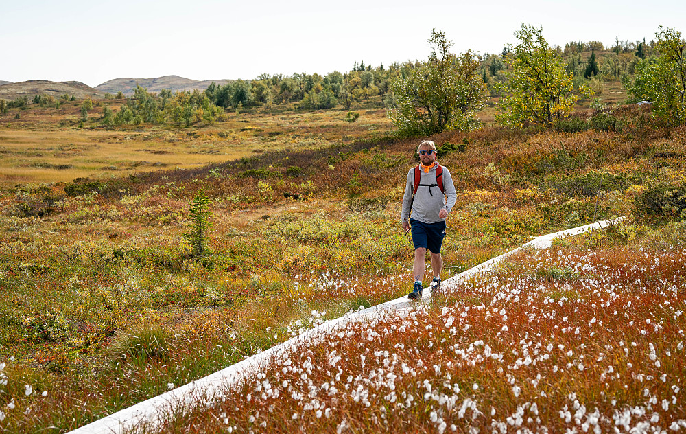 Høstfargene begynner å sette farge på fjellet.