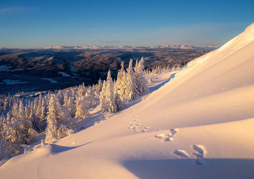 Harespor i snøen og utsikt mot fjella i nord.