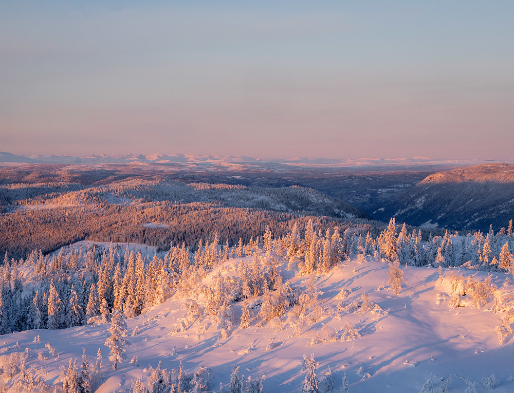 Rosa-timen og utsikt hele veien til Jotunheimen.