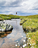 LarsStorheim_20240722_669e4cf1ec419.jpg