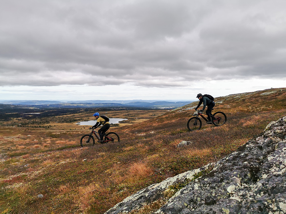 Fin flyt ned fra Ruaddalsfjellet!