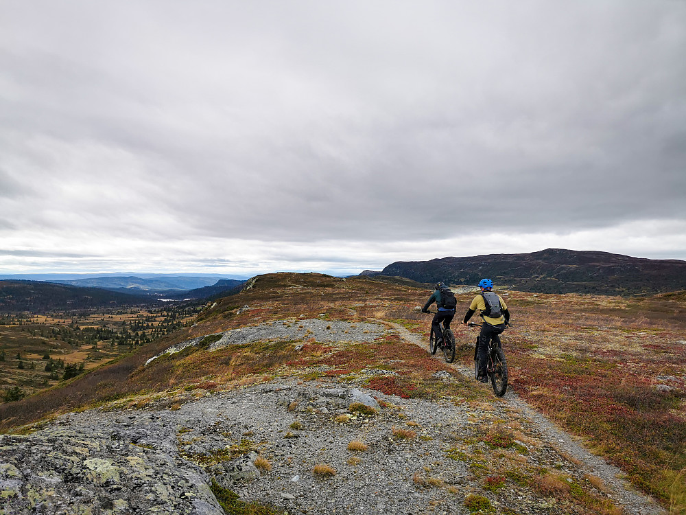 Upåklagelig sykkelsti over Bergaleinnatten. Nystølvarden skimtes i det fjerne til høyre i bildet.