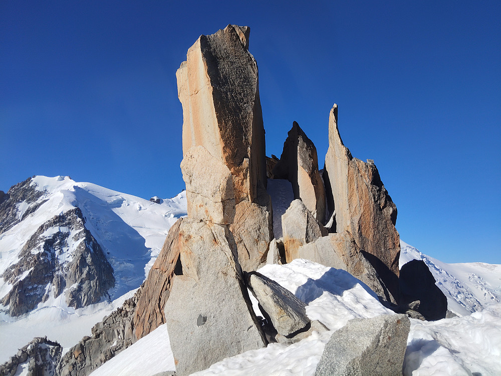 Cosmiques - klassikeren