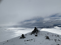 torelie_20220306_6224e44fa2140.jpeg
