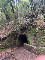 torelie_20250218_67b503fddff26.jpg