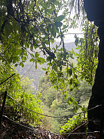 torelie_20250218_67b503ff207e4.jpg